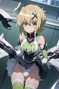 姫 戦姫絶唱シンフォギアXD UNLIMITED キーケース/セレナver.